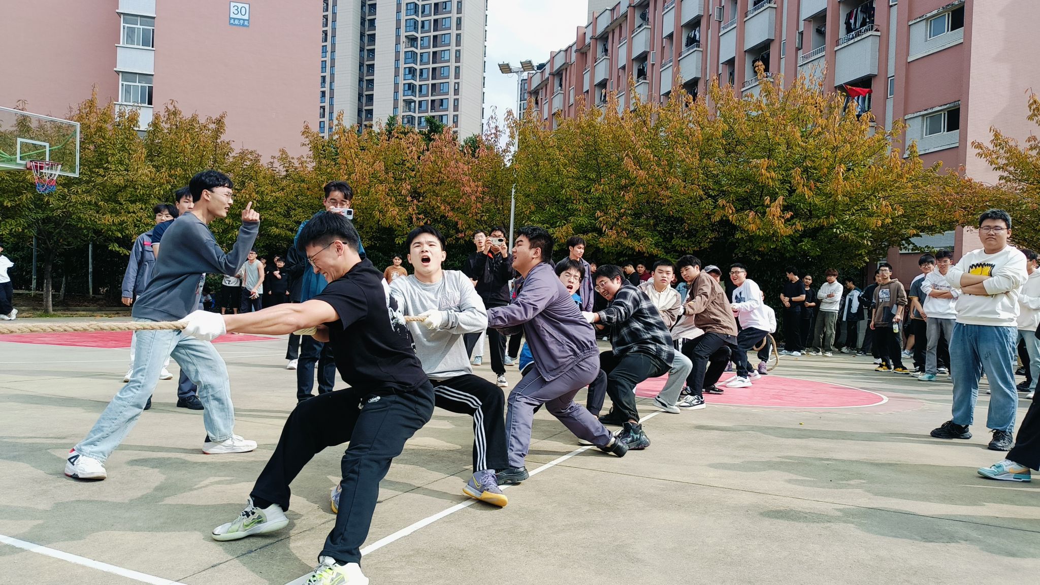 拔河比赛：团队合作展现无尽力量的简单介绍