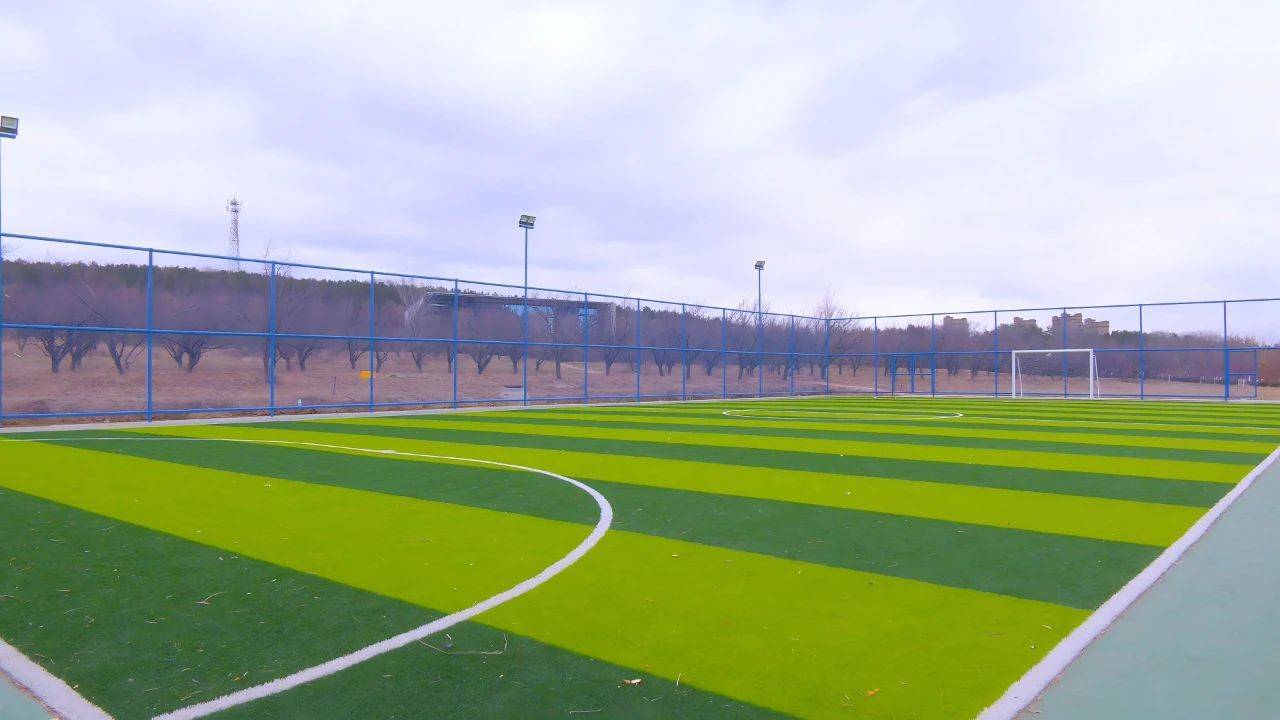 青少年足球场地建设“快跑”，标准化管理成为新趋势的简单介绍